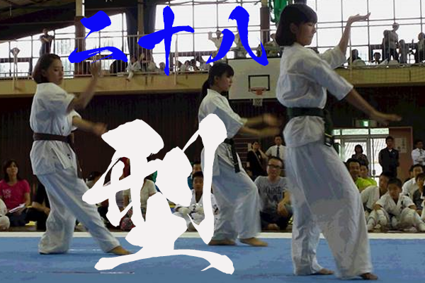 武流会空手の型全集1