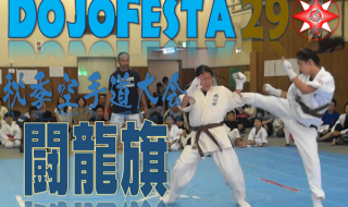 DojoFesta29-Towryuki