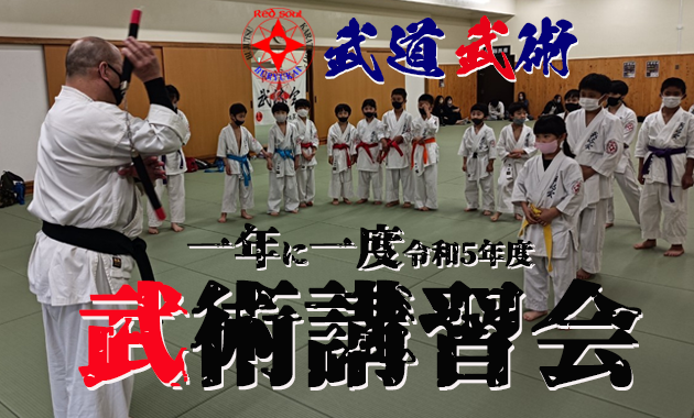r5spring.martial arts.class.poster
