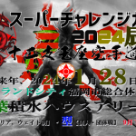 scc2024karatedo-tournament.information.poster