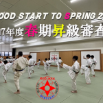 spring2025promotion.examination.poster